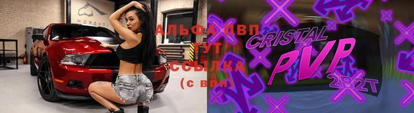 тгк Щигры