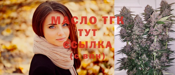 тгк Щигры