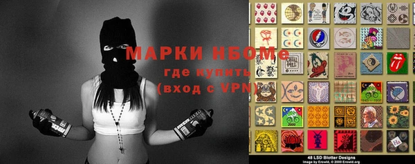 крисы Шарыпово