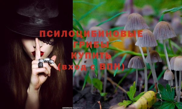 бошки Щучье