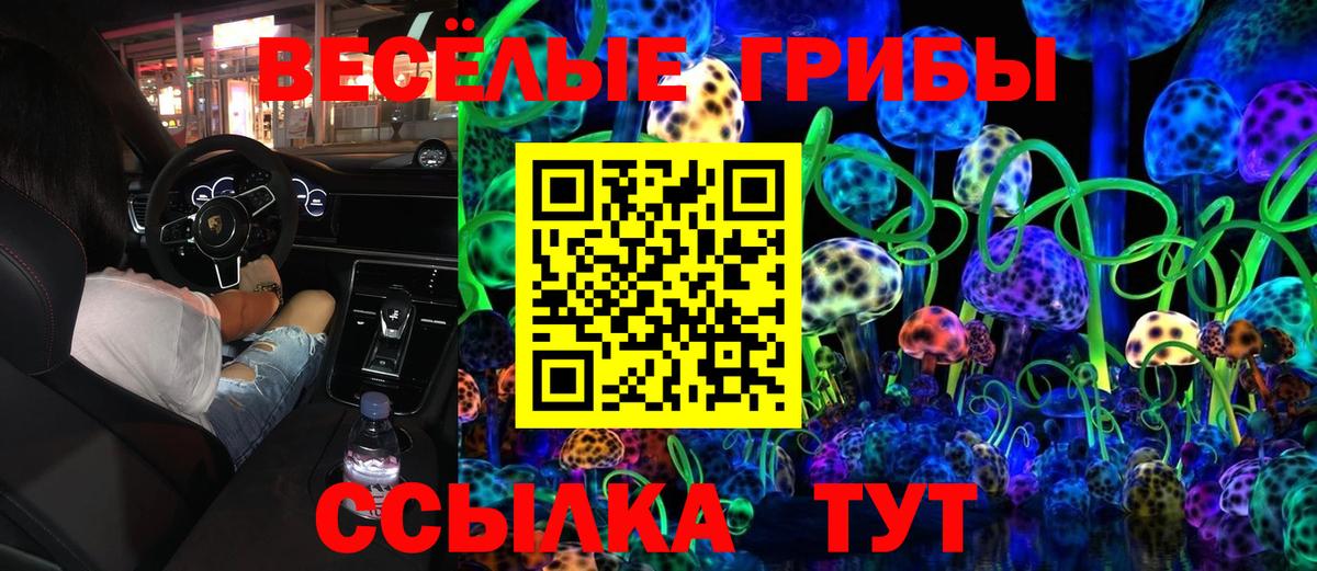Псилоцибиновые грибы Psilocybe Златоуст