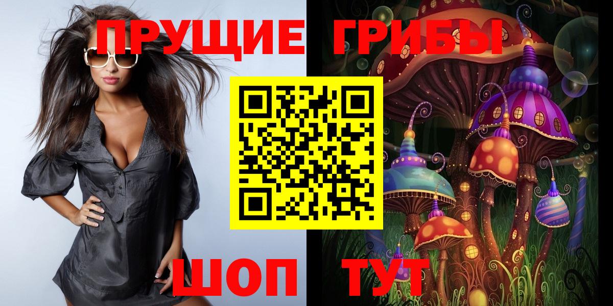 Псилоцибиновые грибы Psilocybe  цены   Златоуст  Вход с VPN 